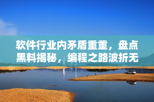 軟件行業(yè)內(nèi)矛盾重重，盤點黑料揭秘，編程之路波折無窮
