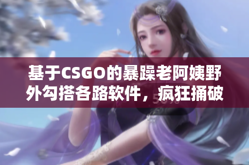 基于CSGO的暴躁老阿姨野外勾搭各路軟件，瘋狂捅破程序瓶頸