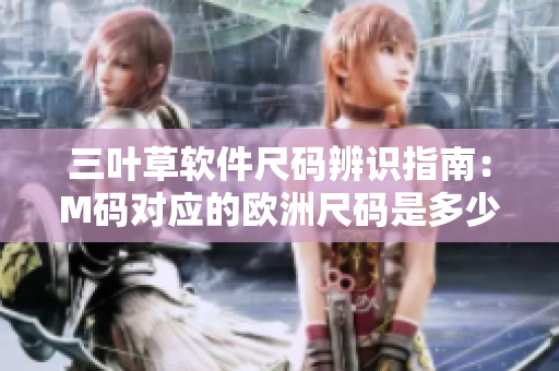 三葉草軟件尺碼辨識指南：M碼對應的歐洲尺碼是多少？