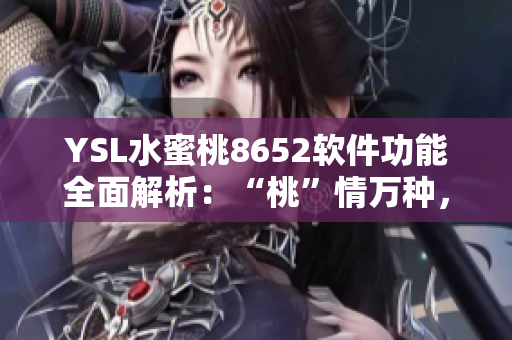 YSL水蜜桃8652軟件功能全面解析：“桃”情萬種，一圖看懂