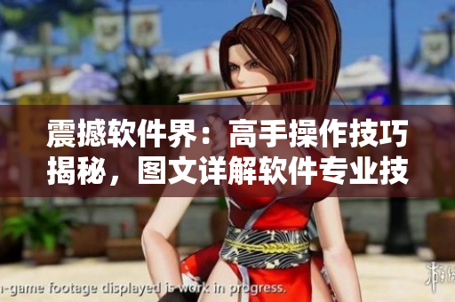 震撼軟件界：高手操作技巧揭秘，圖文詳解軟件專業(yè)技法