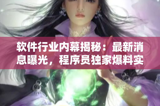 軟件行業(yè)內(nèi)幕揭秘：最新消息曝光，程序員獨家爆料實情