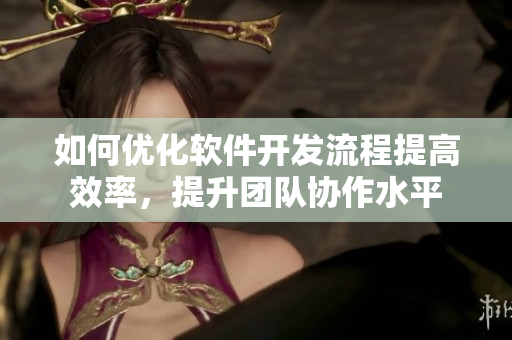 如何優(yōu)化軟件開發(fā)流程提高效率，提升團(tuán)隊協(xié)作水平