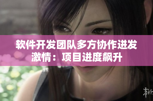 軟件開發(fā)團(tuán)隊多方協(xié)作迸發(fā)激情：項(xiàng)目進(jìn)度飆升
