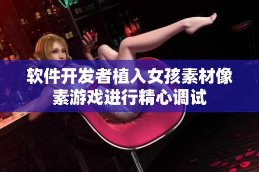 軟件開發(fā)者植入女孩素材像素游戲進行精心調(diào)試