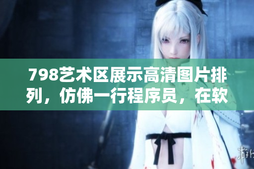 798藝術區(qū)展示高清圖片排列，仿佛一行程序員，在軟件世界中漫步