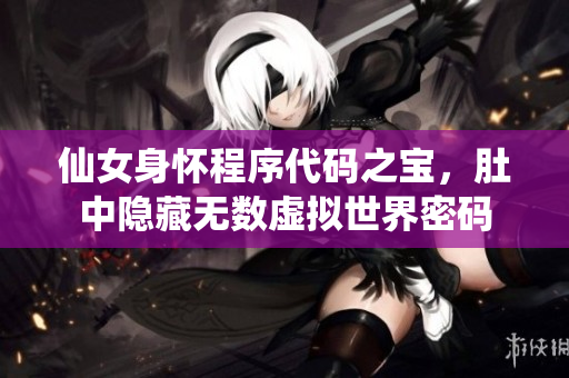 仙女身懷程序代碼之寶，肚中隱藏無數(shù)虛擬世界密碼