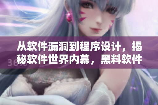 從軟件漏洞到程序設(shè)計(jì)，揭秘軟件世界內(nèi)幕，黑料軟件揭秘報(bào)告立體式解讀