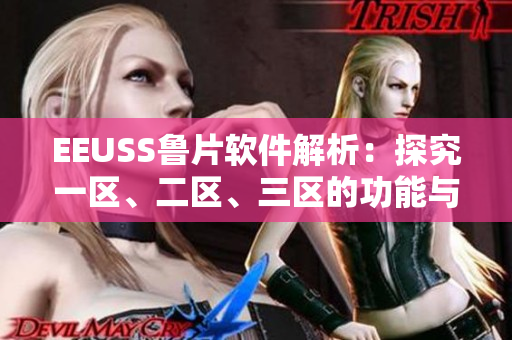 EEUSS魯片軟件解析：探究一區(qū)、二區(qū)、三區(qū)的功能與應(yīng)用