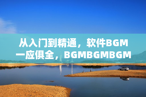 從入門(mén)到精通，軟件BGM一應(yīng)俱全，BGMBGMBGM價(jià)格大揭秘！