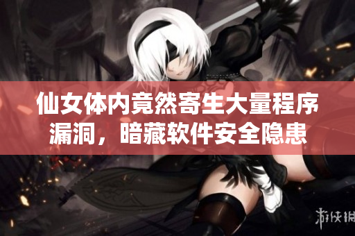 仙女體內(nèi)竟然寄生大量程序漏洞，暗藏軟件安全隱患