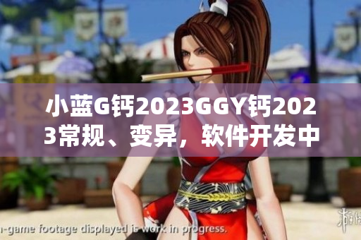 小藍G鈣2023GGY鈣2023常規(guī)、變異，軟件開發(fā)中的選擇之爭