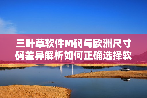 三葉草軟件M碼與歐洲尺寸碼差異解析如何正確選擇軟件開發(fā)者服裝大??？
