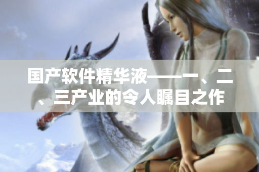 國產(chǎn)軟件精華液——一、二、三產(chǎn)業(yè)的令人矚目之作