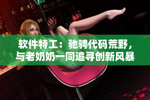軟件特工：馳騁代碼荒野，與老奶奶一同追尋創(chuàng)新風(fēng)暴