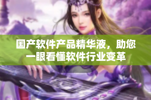 國產(chǎn)軟件產(chǎn)品精華液，助您一眼看懂軟件行業(yè)變革