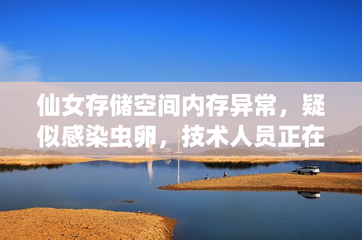 仙女存儲(chǔ)空間內(nèi)存異常，疑似感染蟲卵，技術(shù)人員正在緊急處理
