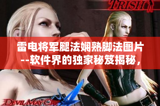 雷電將軍腿法嫻熟腳法圖片--軟件界的獨(dú)家秘笈揭秘，曝光專家級(jí)技能詳解