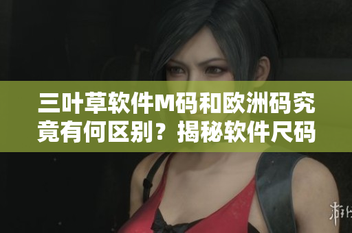 三葉草軟件M碼和歐洲碼究竟有何區(qū)別？揭秘軟件尺碼標(biāo)準(zhǔn)的奧秘