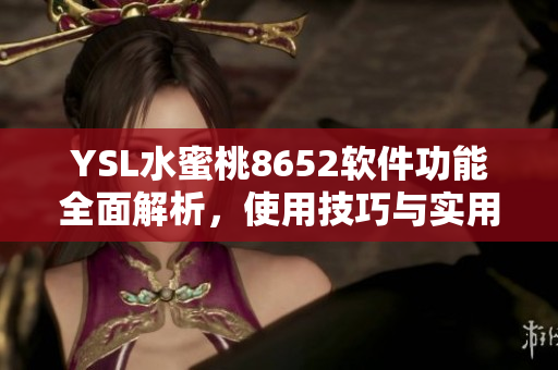 YSL水蜜桃8652軟件功能全面解析，使用技巧與實(shí)用指南