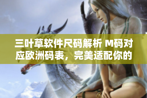 三葉草軟件尺碼解析 M碼對(duì)應(yīng)歐洲碼表，完美適配你的軟件需求