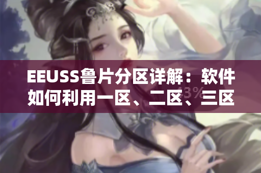 EEUSS魯片分區(qū)詳解：軟件如何利用一區(qū)、二區(qū)、三區(qū)提升效能