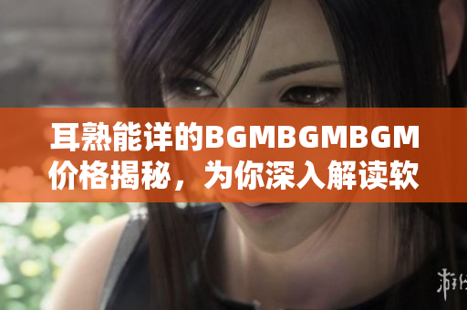 耳熟能詳?shù)腂GMBGMBGM價格揭秘，為你深入解讀軟件行業(yè)