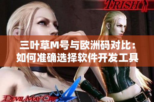三葉草M號(hào)與歐洲碼對(duì)比：如何準(zhǔn)確選擇軟件開(kāi)發(fā)工具尺碼