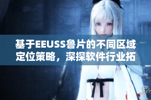 基于EEUSS魯片的不同區(qū)域定位策略，深探軟件行業(yè)拓展路徑