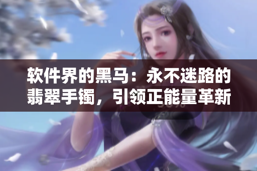 軟件界的黑馬：永不迷路的翡翠手鐲，引領(lǐng)正能量革新之路