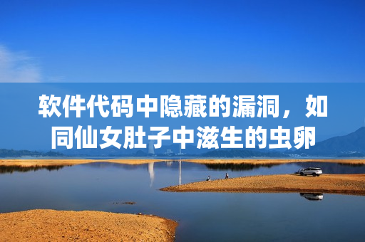 軟件代碼中隱藏的漏洞，如同仙女肚子中滋生的蟲卵