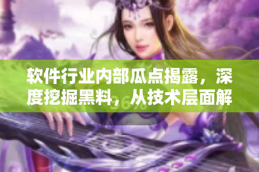軟件行業(yè)內(nèi)部瓜點揭露，深度挖掘黑料，從技術(shù)層面解析，探索萬里長征
