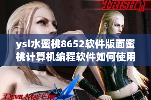 ysl水蜜桃8652軟件版面蜜桃計算機(jī)編程軟件如何使用