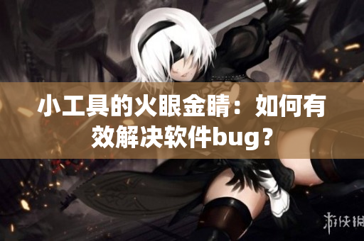 小工具的火眼金睛：如何有效解決軟件bug？