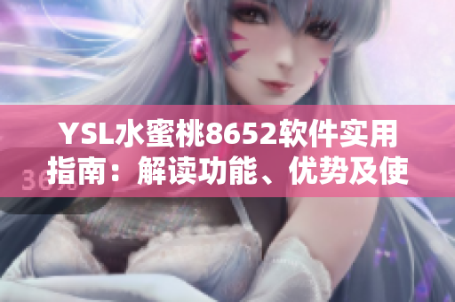 YSL水蜜桃8652軟件實用指南：解讀功能、優(yōu)勢及使用技巧