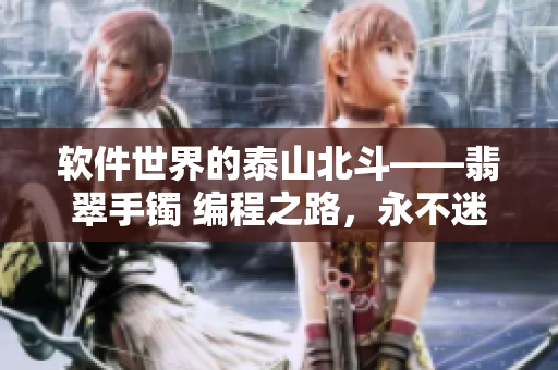 軟件世界的泰山北斗——翡翠手鐲 編程之路，永不迷失