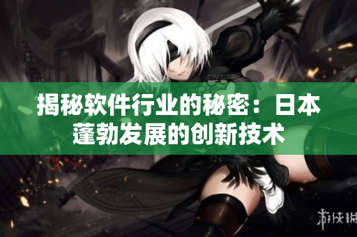 揭秘軟件行業(yè)的秘密：日本蓬勃發(fā)展的創(chuàng)新技術