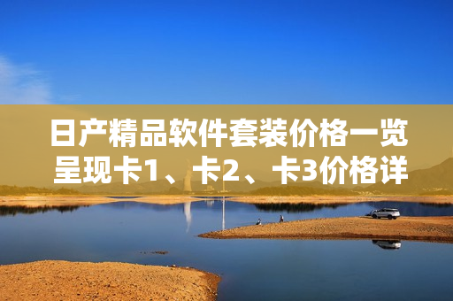 日產(chǎn)精品軟件套裝價(jià)格一覽 呈現(xiàn)卡1、卡2、卡3價(jià)格詳解