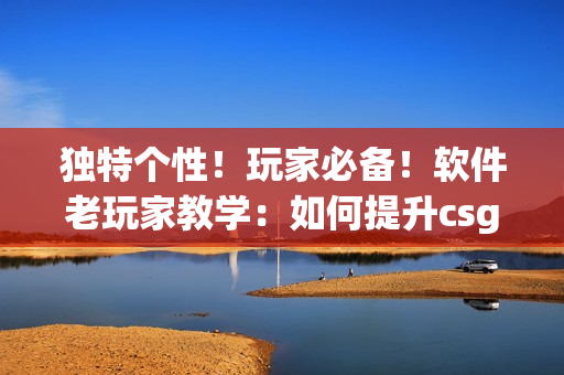 獨(dú)特個(gè)性！玩家必備！軟件老玩家教學(xué)：如何提升csgo技能