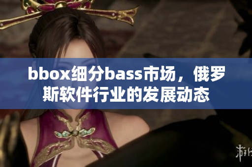 bbox細(xì)分bass市場(chǎng)，俄羅斯軟件行業(yè)的發(fā)展動(dòng)態(tài)