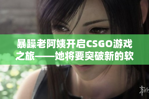 暴躁老阿姨開啟CSGO游戲之旅——她將要突破新的軟件挑戰(zhàn)