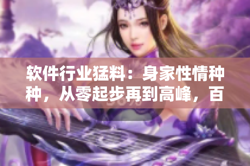 軟件行業(yè)猛料：身家性情種種，從零起步再到高峰，百聞不如一見