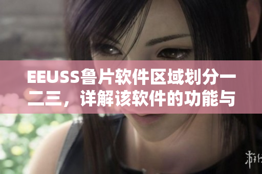 EEUSS魯片軟件區(qū)域劃分一二三，詳解該軟件的功能與特點