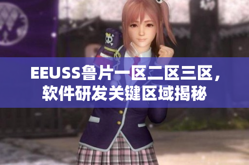 EEUSS魯片一區(qū)二區(qū)三區(qū)，軟件研發(fā)關(guān)鍵區(qū)域揭秘
