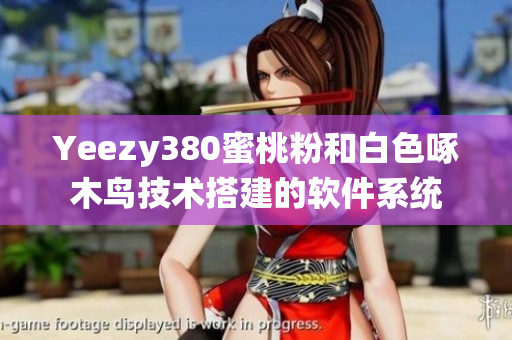 Yeezy380蜜桃粉和白色啄木鳥(niǎo)技術(shù)搭建的軟件系統(tǒng)