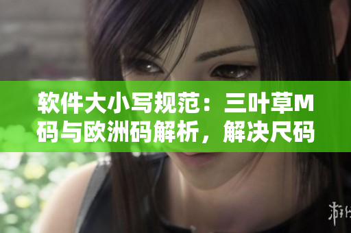 軟件大小寫規(guī)范：三葉草M碼與歐洲碼解析，解決尺碼轉(zhuǎn)換難題