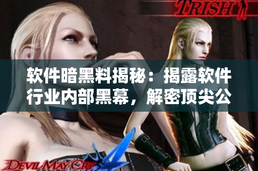 軟件暗黑料揭秘：揭露軟件行業(yè)內(nèi)部黑幕，解密頂尖公司內(nèi)幕萬里長(zhǎng)征