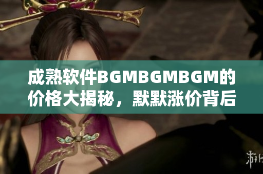成熟軟件BGMBGMBGM的價格大揭秘，默默漲價背后的邏輯解析