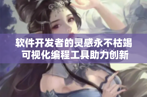 軟件開發(fā)者的靈感永不枯竭 可視化編程工具助力創(chuàng)新產(chǎn)出
