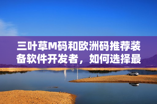 三葉草M碼和歐洲碼推薦裝備軟件開發(fā)者，如何選擇最適合的編碼規(guī)范？